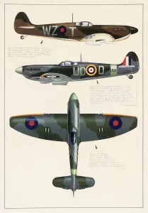 Prints of Supermarine Spitfire Mk. 1, Supermarine Spitfire Mk.Vb, and Hawker Tempest aeroplanes, all in camouflage paint. 1940s World War I Prints: Supermarine Spitfire and Hawker Tempest Print, 1940s