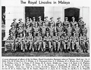 Lincolnshire Collection: The Royal Lincolns in Malaya