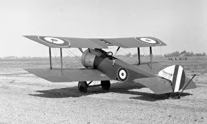 (Royal Naval Air Service) Sopwith Dove/Pup N5180 (Royal Naval Air Service) Sopwith Dove/Pup N5180