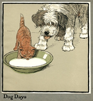 Rufus the cat drinks from a bowl, watched by a dog Rufus the cat drinks from a bowl, watched by a dog