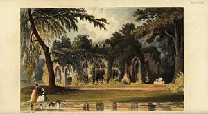 The Ruins, Windsor, a Gothic pile built by John Wyatt The Ruins, Windsor, a Gothic pile built by John Wyatt