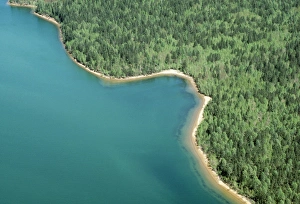 Russia Gallery: Russia - Lake Baikal Wildlife Reserve