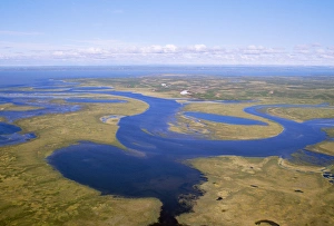 Russia Gallery: RUSSIA - semi-tundra aerial view of taiga