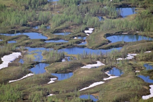 Russia Gallery: RUSSIA - semi-tundra. Lakes and melting snow, aerial