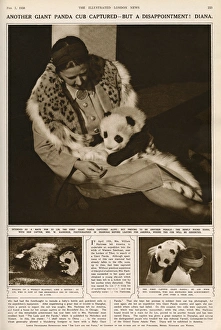 Ruth Harkness and her baby Giant Panda Diana, 1938 Ruth Harkness and her baby Giant Panda Diana, 1938