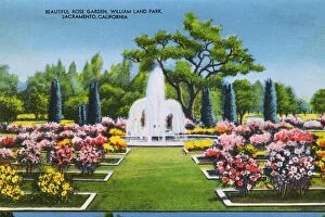 Flowerbed Gallery: Sacramento, California, USA, William Land Park - Rose Garden