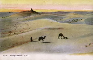 Heat Collection: The Sahara Desert