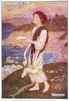 Area Gallery: Saint David