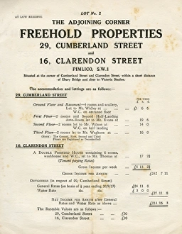 Cumberland Gallery: Sale Particulars for the auction of two Pimlico Properties