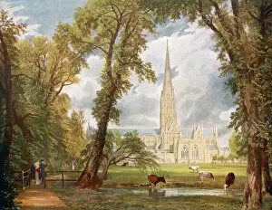 Cathedral Collection: Salisbury (Constable)