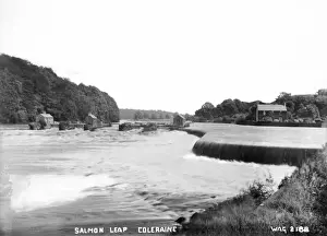 Prints of Salmon Leap, Coleraine - a view of a weir on the Foyle. (Location: Northern Ireland; County Londonderry; Coleraine). Date: circa early 1900s Coleraine Prints: Salmon Leap, Coleraine Print - Foyle Weir Scene