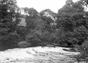Salmon Leap, R. Roe