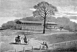 Stands Gallery: Sandown Park Racecourse, 1875