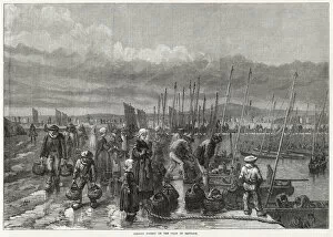 Sardine Gallery: Sardine fishery at Brittany 1871