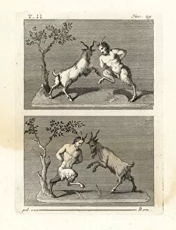 Posture Gallery: Two satyrs butting heads with goats