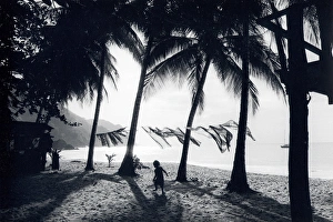 Scene on a beach, Tobago, West Indies Scene on a beach, Tobago, West Indies