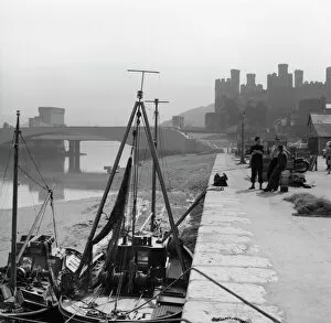 Moored Gallery: Scene on Conwy Harbour, North Wales