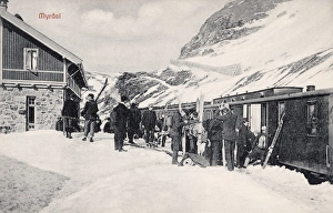 Scene at Myrdal Railway Station, Norway Scene at Myrdal Railway Station, Norway