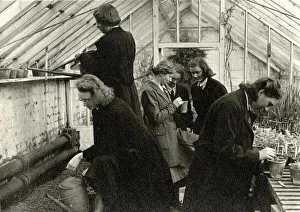 Schoolgirls in greenhouse learning horticulture Schoolgirls in greenhouse learning horticulture