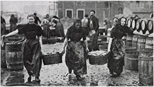 Scotch Herring Women Workers 1902 Scotch Herring Women Workers 1902