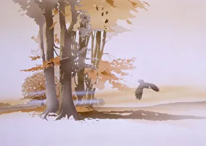 Roost Gallery: Seasons - An October Morning