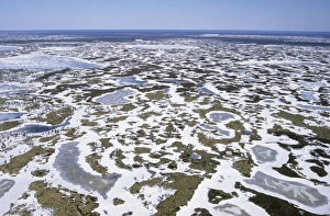 Russia Gallery: Semi-tundra aerial, North Siberia