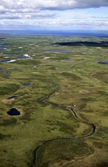 Russia Gallery: Semi-tundra, aerial view from a helicopter