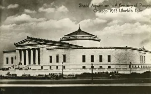 Shedd Aquarium - Chicago 1933 Worlds Fair Shedd Aquarium - Chicago 1933 Worlds Fair