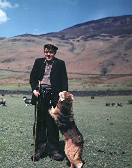 Cumberland Gallery: Shepherd and his dog, Cumberland