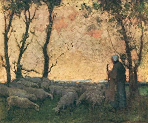 Shepherdess Collection: Shepherding The Flock