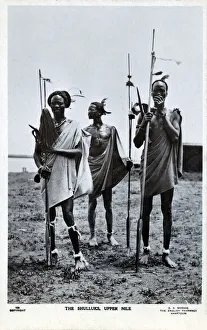 Three Shilluk Warriors of the Upper Nile, Sudan Three Shilluk Warriors of the Upper Nile, Sudan