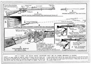 Weapons Gallery: Short Rifle Diagram 1915