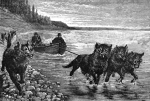 Siberian postman, boat hauled by dogs Siberian postman, boat hauled by dogs