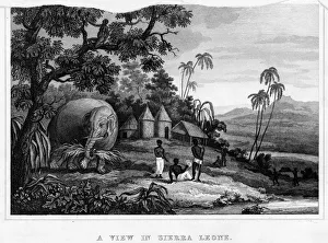 Related Images Gallery: Sierra Leone General