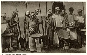 Related Images Gallery: Sierra Leone, West Africa - Husking of Rice pestle & mortar