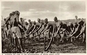Related Images Gallery: Sierra Leone, West Africa - Villagers preparing arable land