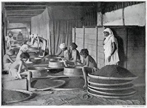 Plantations Gallery: Sifting Tea in Assam, India