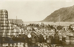 Siglufjordur (Herring Town), Iceland Siglufjordur (Herring Town), Iceland