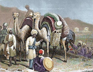Silk Road. Caravan of camels resting. Engraving Silk Road. Caravan of camels resting. Engraving