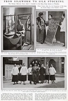 Silk Gallery: From silkworm to silk stocking - British Empire Exhibition