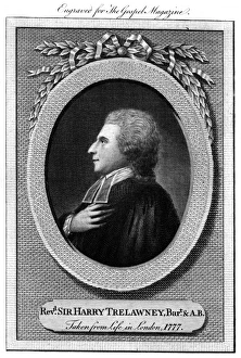 Titled Gallery: Sir Harry Trelawny