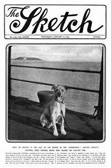 Sketch cover, Captain Loxleys faithful dog, WW1 Sketch cover, Captain Loxleys faithful dog, WW1