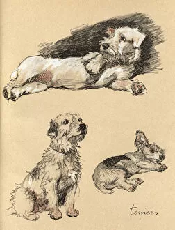 Aldin Gallery: Sketches by Cecil Aldin, Just Among Friends