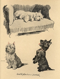 Sketches by Cecil Aldin, Just Among Friends Sketches by Cecil Aldin, Just Among Friends