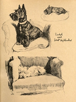 Sketches by Cecil Aldin, Just Among Friends Sketches by Cecil Aldin, Just Among Friends