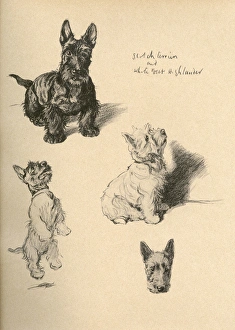 Sketches by Cecil Aldin, Just Among Friends Sketches by Cecil Aldin, Just Among Friends