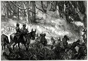 A Skirmish in the Forest, Third Anglo-Ashanti War or First Ashanti Expedition (1873-1874 A Skirmish in the Forest, Third Anglo-Ashanti War or First Ashanti Expedition (1873-1874