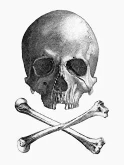 Roger Gallery: Skull and Crossbones