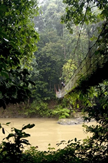 Sky Walk / Trail bridge / Suspension Bridge / Sky Walk / Trail bridge / Suspension Bridge /