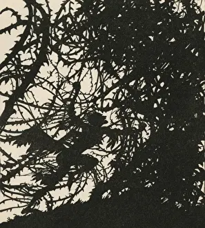 Arthur Rackham's Sleeping Beauty Print: Thorns of the Castle
